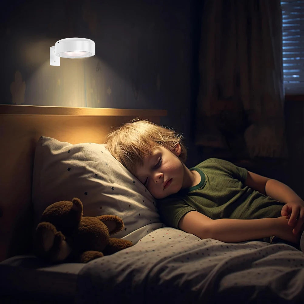 2 / 3 Pcs Rechargeable Picture Lights for Wall – LED Art Display Light with Remote & Timer