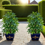 1pc Realistic Large Artificial Green Money Tree Palm – Outdoor Garden & Event Decoration