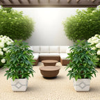 1pc Realistic Large Artificial Green Money Tree Palm – Outdoor Garden & Event Decoration