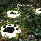 LED Solar Dierenpootafdruk Lampen – Waterdichte Buiten Tuinpad Verlichting (1–12 STUKS)