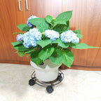 Rolling Plant Stand with Wheels Plant Pallet Caddies Flower Pot Mover for Potted Trees