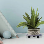 Water-receiving Plastic Universal Wheel Flower Pot Chassis Potted Round Rack Tray Mobile Roller Mobile Plant Flower Pot Stand