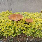 Vintage Flower-Shaped Metal Bird Bath with Garden Stake – Decorative Outdoor Bird Water Bowl for Garden, Lawn & Patio